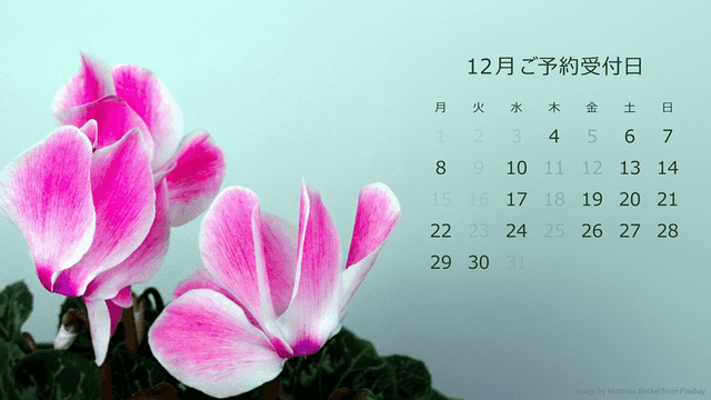 スケジュール(12月)