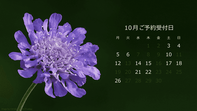 スケジュール(10月)