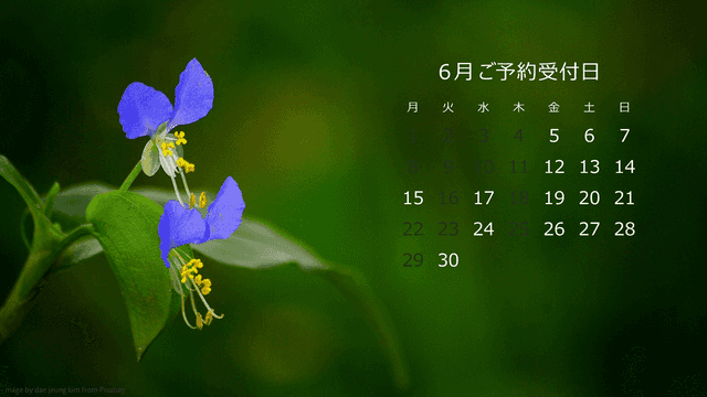 スケジュール(6月)