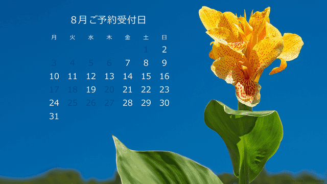 スケジュール(8月)