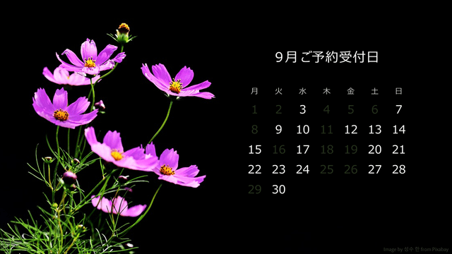スケジュール